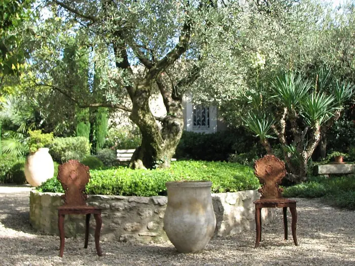 Olive trees, gravel and terracotta urns in a Provençal garden